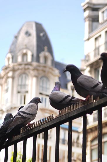 paris072.jpg