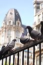paris072