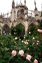 paris110